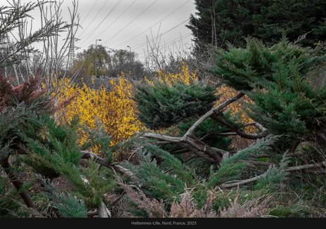 Hellemmes-Lille, Nord, France, 2025