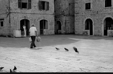 Vue de la fenêtre, La Haye-de-Routot, Eure, France, 2024, photographie Jean pierre Morcrette