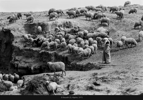 Instantané, El Bayadh (2), Algérie, 1971, photographie Jean pierre Morcrette