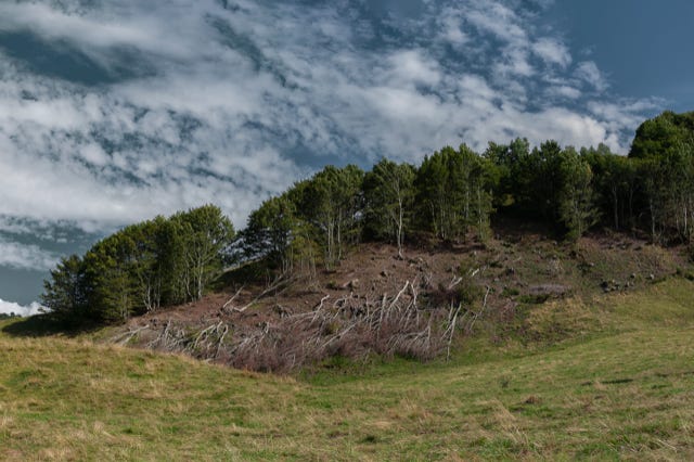 Paysages, Cantal, France, 2008, photographie Jean pierre Morcrette