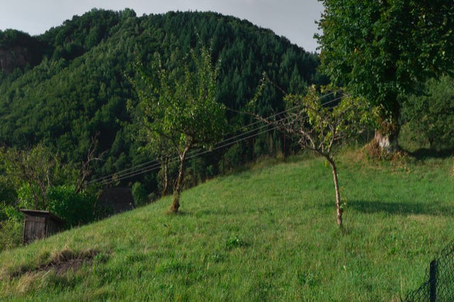 Paysages, Viers, Cantal, France, 2008, photographie Jean pierre Morcrette