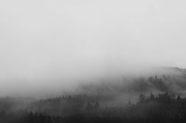 Formats paysage, Vosges, France, 2008, photographie Jean pierre Morcrette