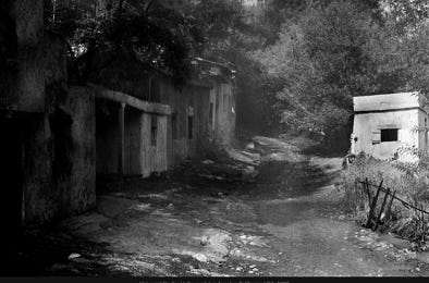 Vue de la fenêtre, La Haye-de-Routot, Eure, France, 2024, photographie Jean pierre Morcrette