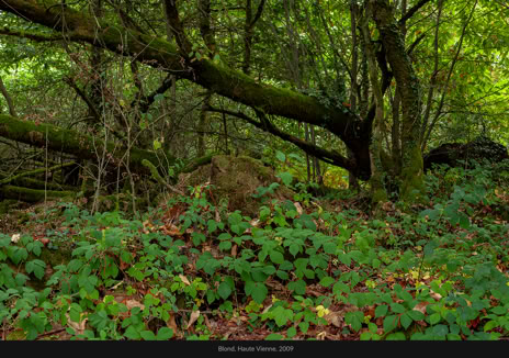 Paysages, Blond, Haute Vienne, France, 2009, photographie Jean pierre Morcrette