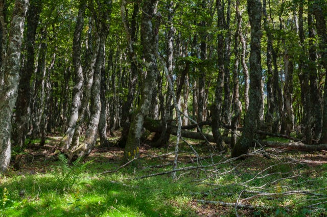 Paysages Cantal, France, 2008, photographie Jean pierre Morcrette