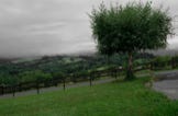 Format paysage, Jean pierre Morcrette