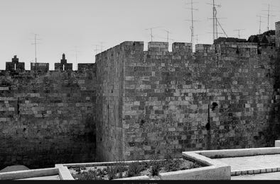 Vue de la fenêtre, La Haye-de-Routot, Eure, France, 2024, photographie Jean pierre Morcrette